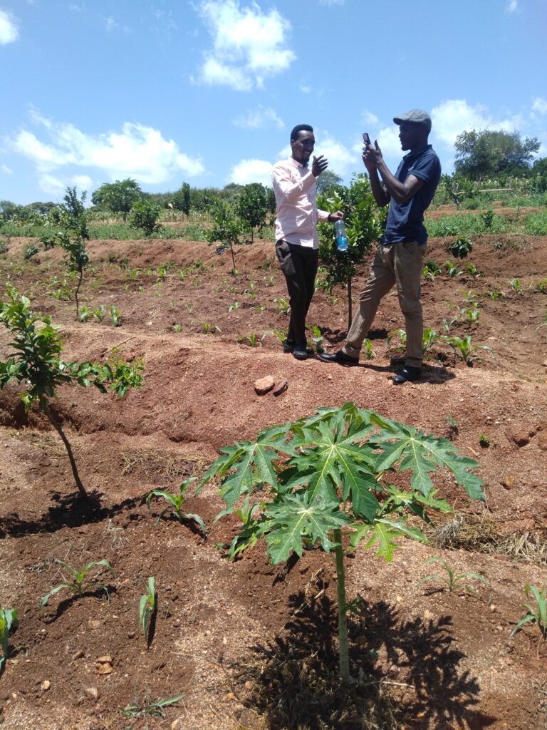 inspecting an irrigation site