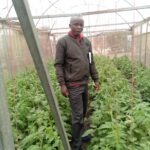 Standard and Customized Green House