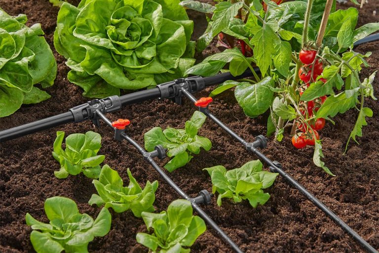 drip irrigation kits default gardena drip irrigation starter kit for raised beds 13455 38002932154534 1000x667